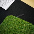 Golf Turf for Putting Greens  2