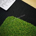 Golf Turf for Putting Greens 