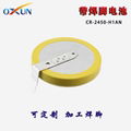 Off-the-shelf CR2450 button battery OXUN battery 2