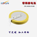 Off-the-shelf CR2450 button battery OXUN battery