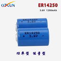 Lithium battery ER14250 battery water meter battery