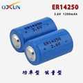 Lithium battery ER14250 battery water meter battery