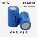 Lithium battery ER14250 battery water meter battery