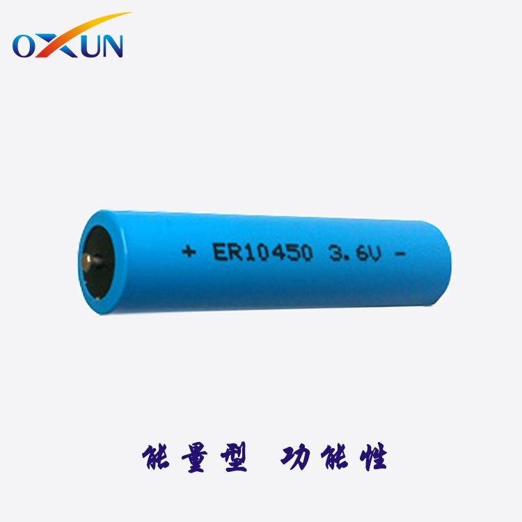 Lithium battery ER10450 battery electronic label battery alarm battery