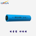 Lithium battery ER10450 battery