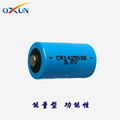 锂电池厂家供应 锂亚电池 ER10450电池 电子标签电池 报警器电池