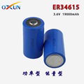 廠家直銷 ER34615鋰亞電池 傳感器 報警器專用電池