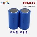 ER34615 lithium sub-battery sensor alarm battery 2
