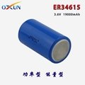 厂家直销 ER34615锂亚电池 传感器 报警器专用电池