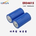 廠家直銷 ER34615鋰亞電池 傳感器 報警器專用電池 5