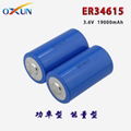 厂家直销 ER34615锂亚电池 传感器 报警器专用电池