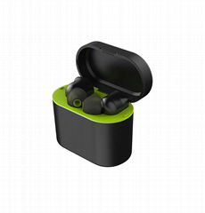 GW15 Bluetooth 5.0 Earbuds