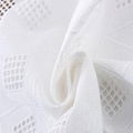 embroidery Cotton dress lace fabric embroidery 3