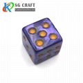 Custom D20 Plastic Dice Accept Custom Brand