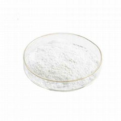 ANTIOXIDANT DTBHQ   CAS NO.88-58-4 