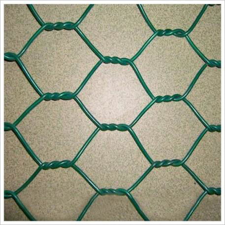 Hexagonal wire mesh