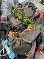 Wholesale Ladies Leather branded Used Bags Second Hand Bags supplier 5