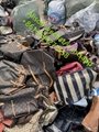 Wallet Second Hand Bags Used Bags Branded wholesale