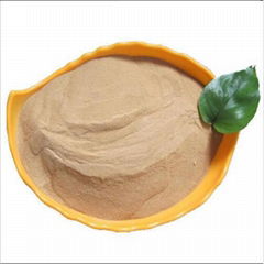 high quality water reducer powder