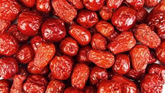 Red Jujube