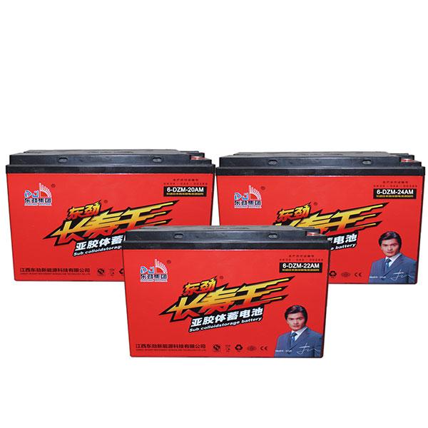 Dongjin E-bike Battery 