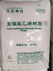 聚偏氟乙烯PVDF