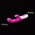 Best Seller OEM&ODM Accepted G-Spot Vibrator with Dual Motors 4