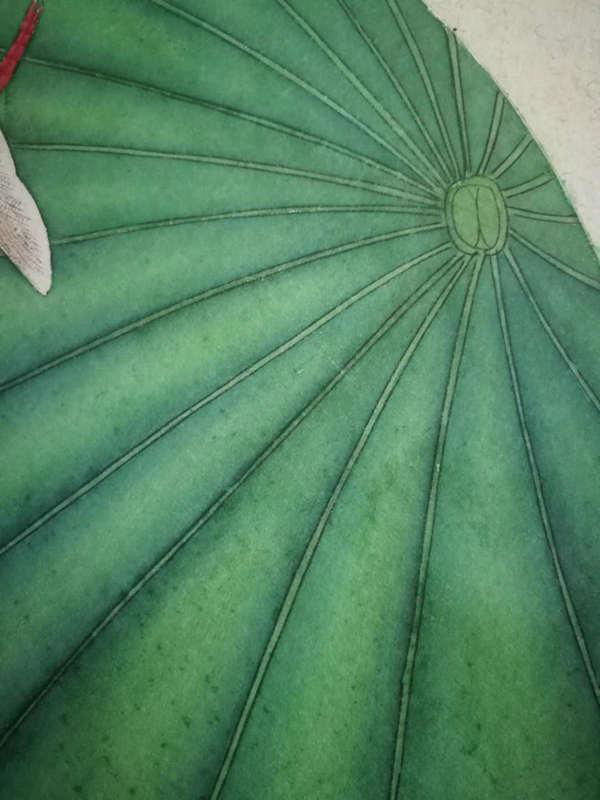 Green lotus painting500*500mm 3