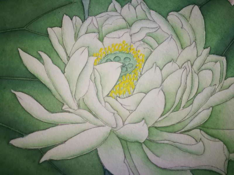 Green lotus painting500*500mm 4
