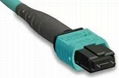 High-density MPO/MTP Cable Assemblies
