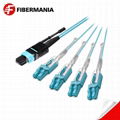 8 Fiber MTP Male to LC Uniboot Fanout