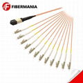 MTP Female to 12 LC Simplex Fanout Cable