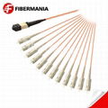 MTP Female to 12 Sc Simplex Fanout Cable