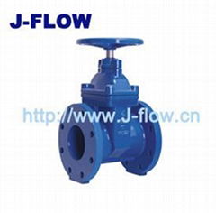 resilient seated gate valve