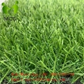  Beautiful Green Garden Decoration Landscape Artificial Grass 3