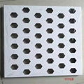 华高建材氟碳穿孔铝单板产品 2