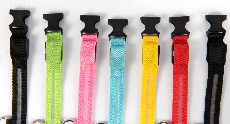 Pet Collars dog LED Collar light 2