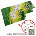 Bug Insect Killer Stickers Patch Pest