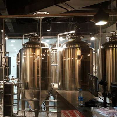 200L Craft Beer Brewery 2