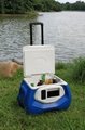 Small insulated bluetooth speaker cooler