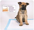 Nonwovens for Pet Pads 1