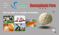  Hot Selling High Purity Decoquinate Raw Powder CAS: 18507-89-6 for Anti-Coccidi