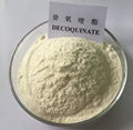  Hot Selling High Purity Decoquinate Raw Powder CAS: 18507-89-6 for Anti-Coccidi