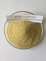 Veterinary Drug Antiparasitic Agents Feed Additive Monensin Sodium 20% CAS17090-