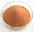 BOSAR SE(ORGANIC SELENIUM) 1