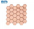 Honeycomb Glass Mosaic