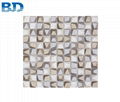 Mixed Stone Glass Mosaic 1