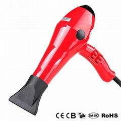 Factory Best Price Professional AC Big Power Hair Dryer