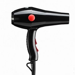 Hot Selling Professional AC Motor Salon Household Hair Dryer