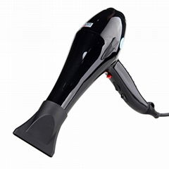 Professional electric AC motor cold wind hair styler hair dryer